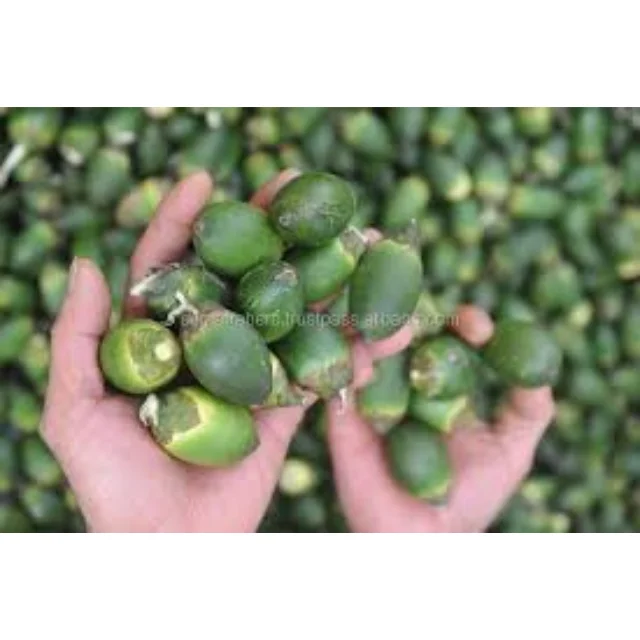 Бесплатный образец! Замороженные фрукты Areca/молодая Пальмовая гайка в вакуумном пакете с высоким качеством и лучшей ценой из Вьетнама в 2022 году