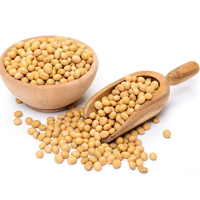 Соевые бобы NON-GMO соевые высокого качества