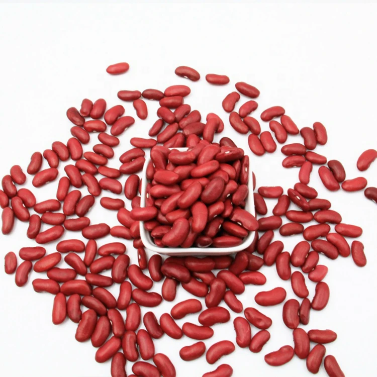 Dried and Raw Dark Red Kidney Sugar Bean for sale Thai Suppliers