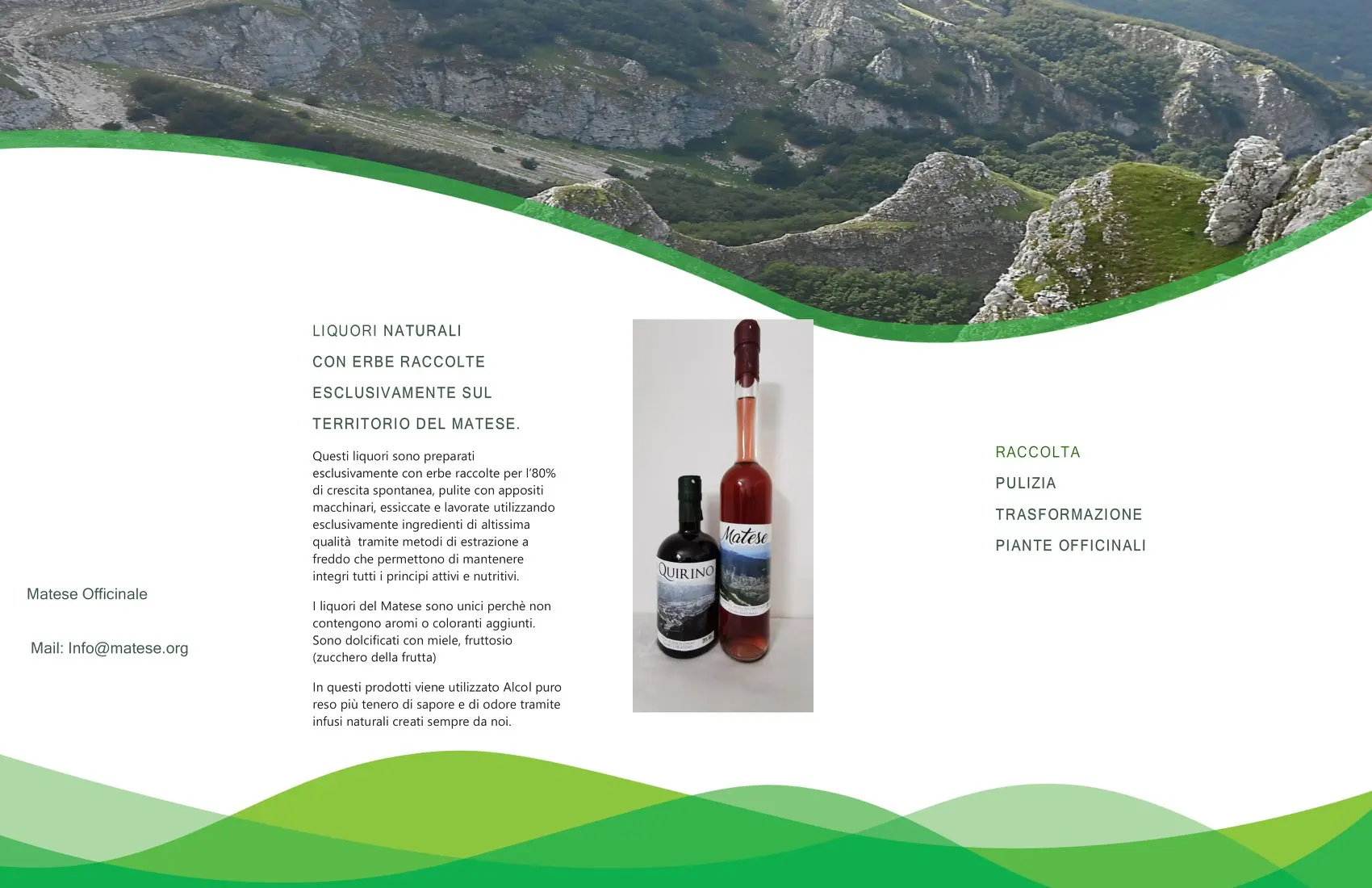 Ликер для напитков Spritz sunny и веселый натуральный аллерия золотистый