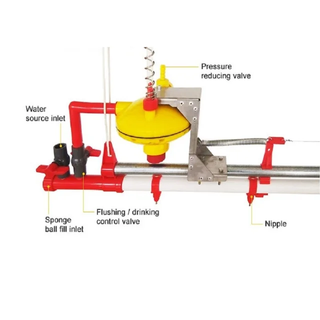 New Design Automatic Feeding Pan Line Poultry Feeders And Drinkers Chicken From Vietnam Manufacturer