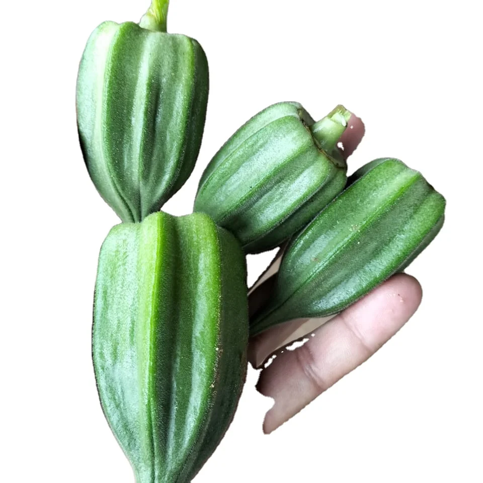 African Okra export in 30 / 40 / 50 gm sachet packing