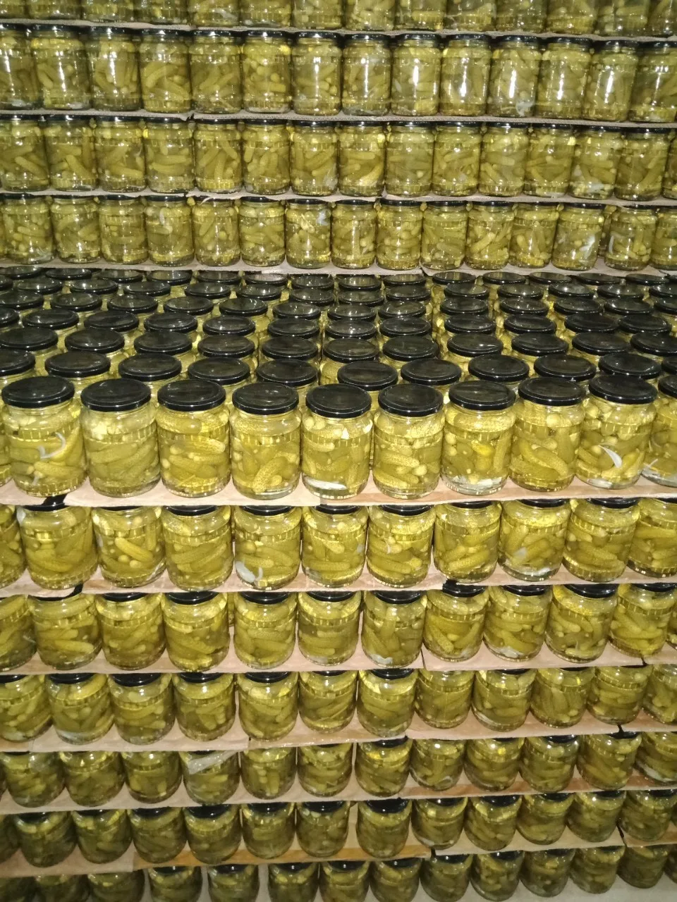 VIETNAM CANNED PICKLED CUCUMBERS GHERKINS IN BRINE WITH GOOD QUALITY, COMPETITIVE PRICE FROM MANUFACTURER