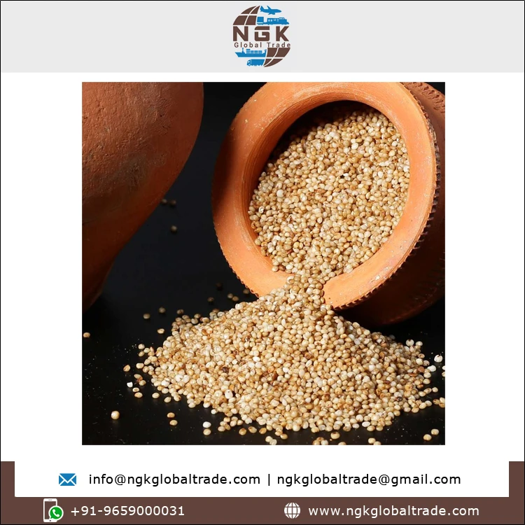 Best Buy Bulk Quantity High Quality Natural Taste Agriculture Grain 100% Pure Kodo Millet for Wholesale Buyers
