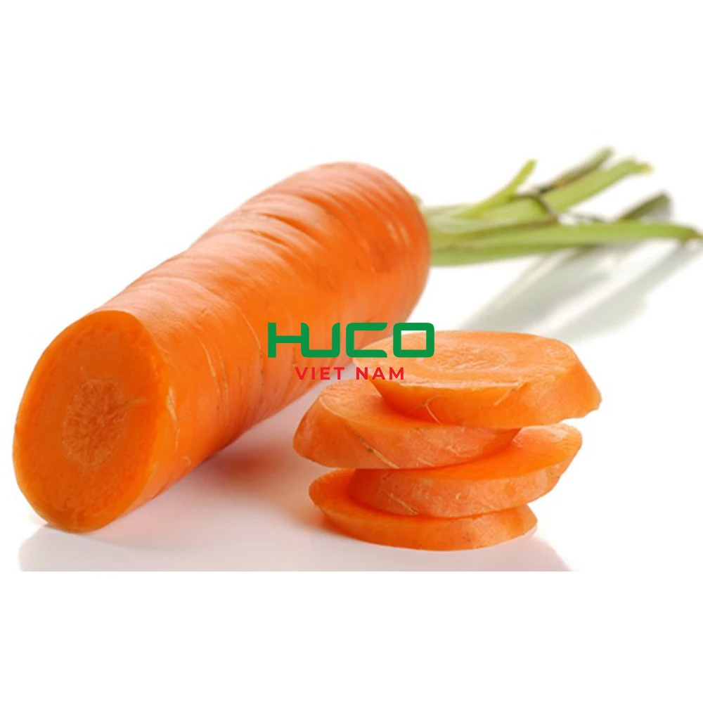 High quality fresh organic vegetables wholesale Vietnamese carrot/carrot carrots seeds in the bulk