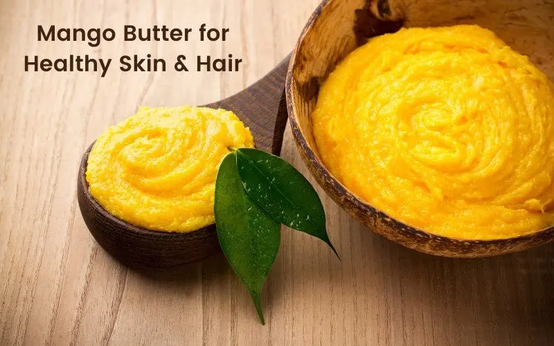 Whole sale Exporters and Manufacturer from India for Good Quality Mango Butter Used as Natural Skin Care With Customized Packing