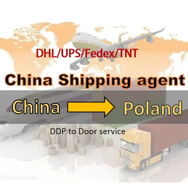 DDP shipping China to Poland Body Scrub cream exfoliates and cleanses scented by sea logistics shipping forwarder