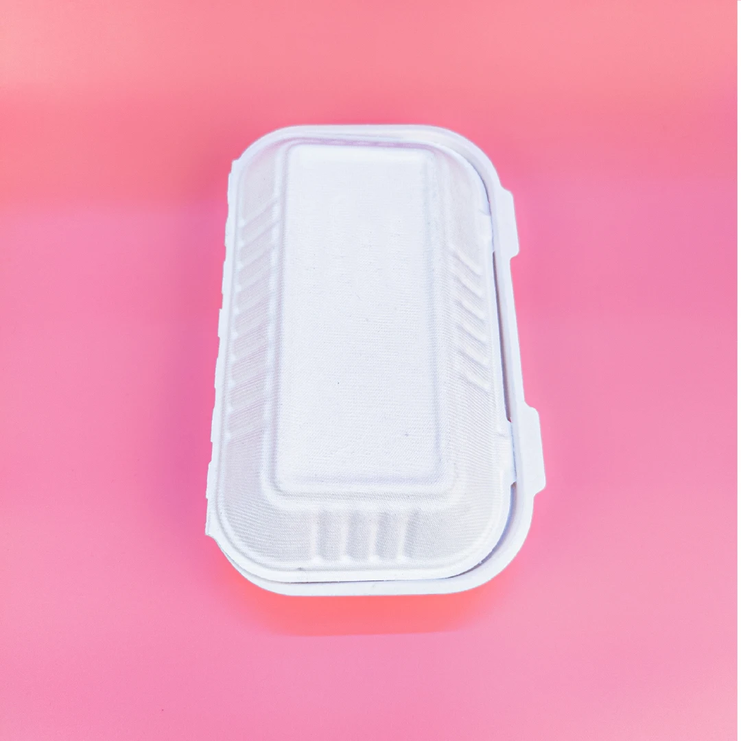Eco Friendly Bagasse Clamshell | Disposable Bagasse Containers, High Quality Takeaway Boxes | Bagasse Tableware