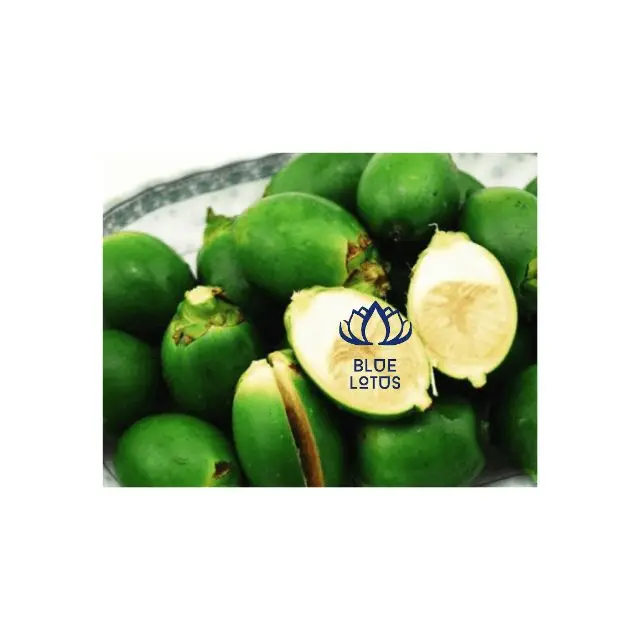 Замороженный зеленый орех Areca