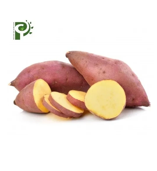 Available Export International Standard Yam Potatoes Sweet  Potatoes from Vietnam with good price Organic Fruits