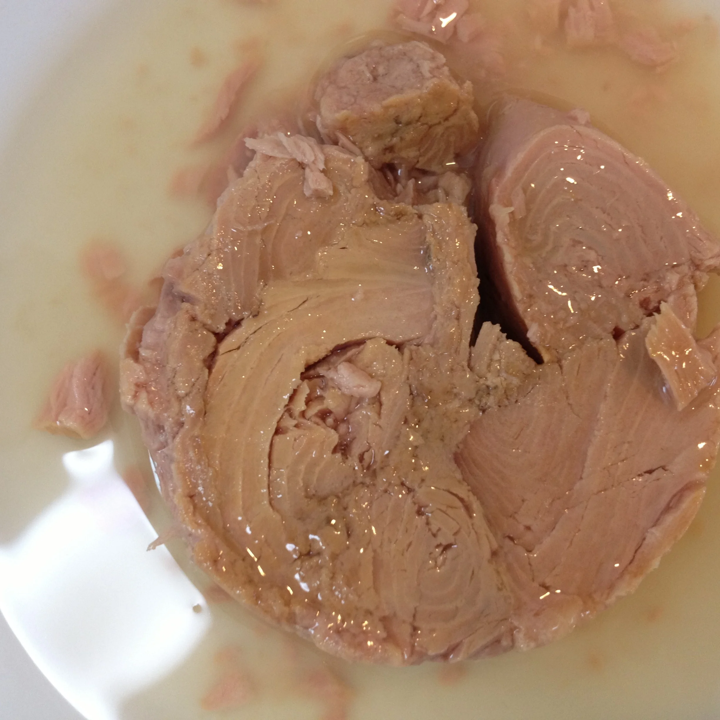 8 oz. Canned Tuna Chunk Vegetable Oil Premium and Natural - Wholesale from Factory - Product of Thailand