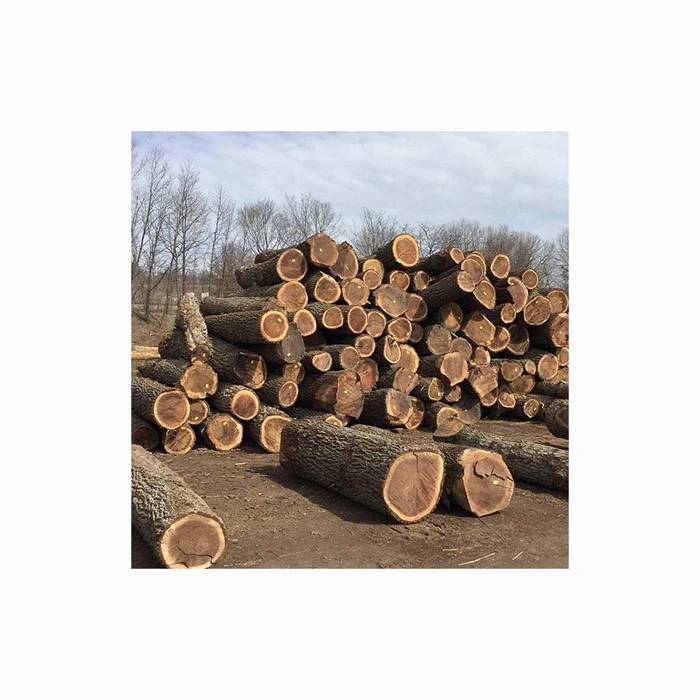 Top Grade Square Logs Black Walnut Maple Luan Ayous Wood Quality Sawn Plywood Excellent Timber Ash Type Competitive Prices