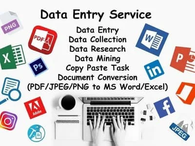 excel data entry, data mining, copy paste, web research and web scraping data entry service