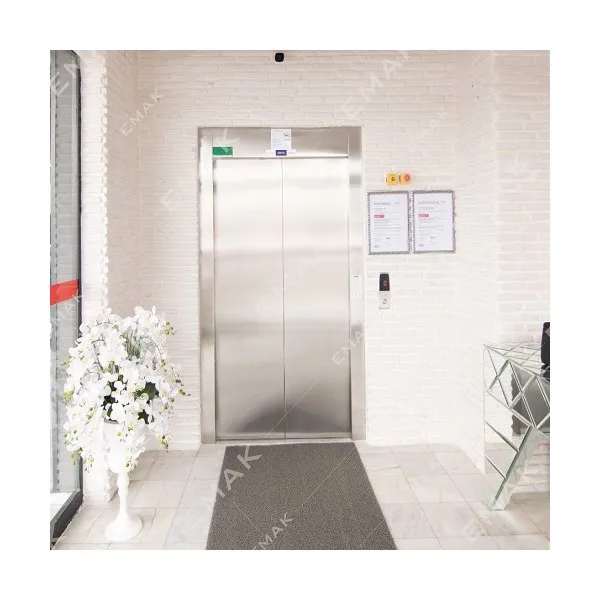 Emak home lift 2 остановки 450 кг