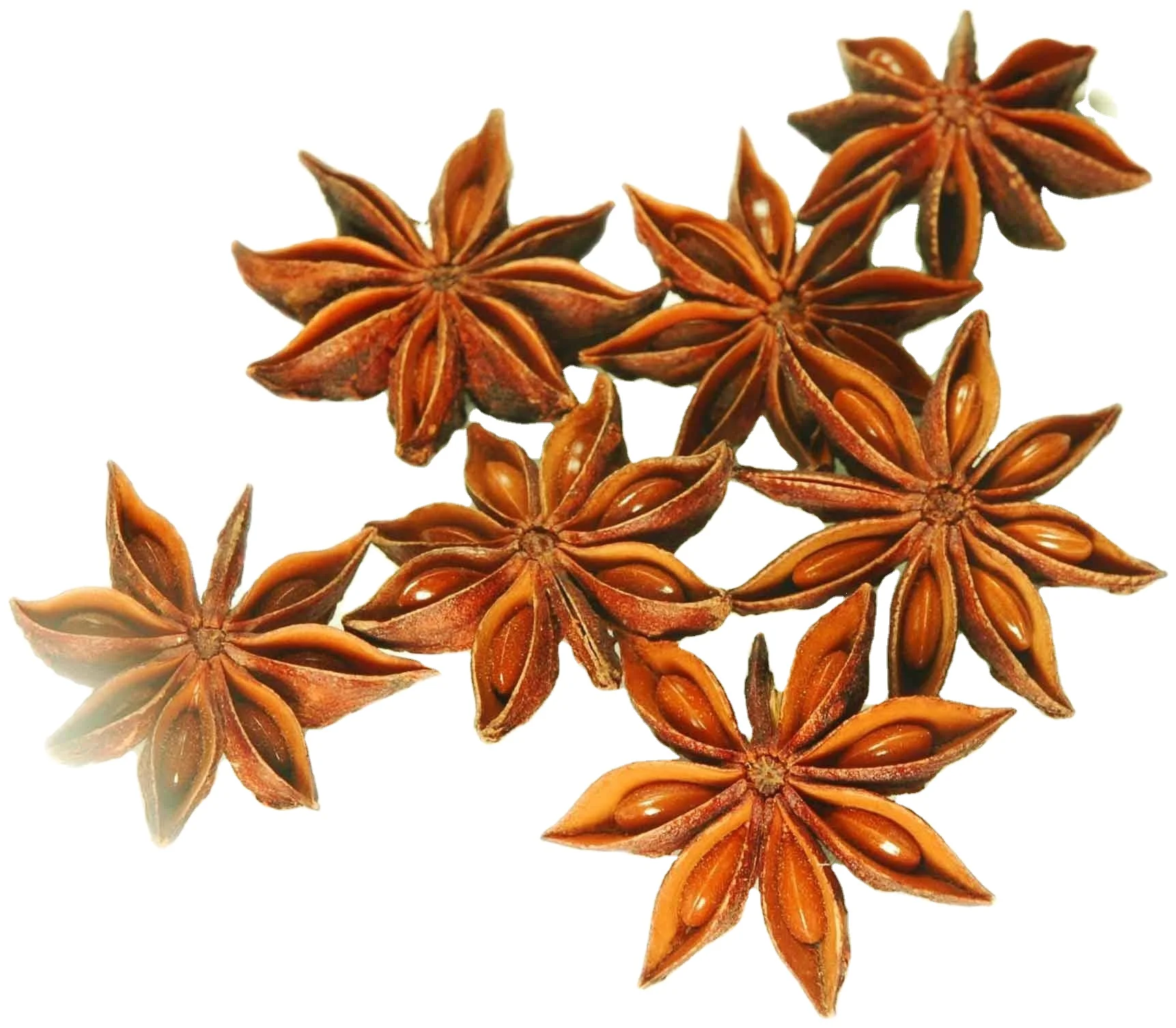 Hotsale Vietnam Autumn Star Anise - New Crop Best Products Spices Dried Star Anise Customized Packing Free Sample