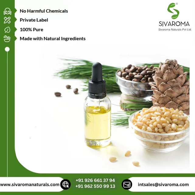 GMP Manufacturer Supply Pure Natural Cedar Extract Oil Premium Quality Wholesale Selling OEM Cedarwood Essential Oil for Supply