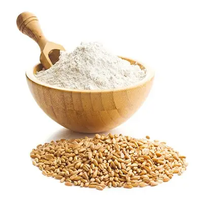 Wheat Flour Natural Product First Grade Meets All Modern Quality Standards White Wheat Flour Price