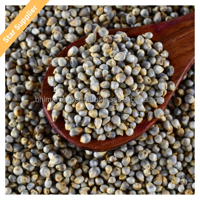 Гарантированная Лучшая цена Высококачественное натуральное органическое зерно зеленого жемчуга Просо для корма птиц и животных из