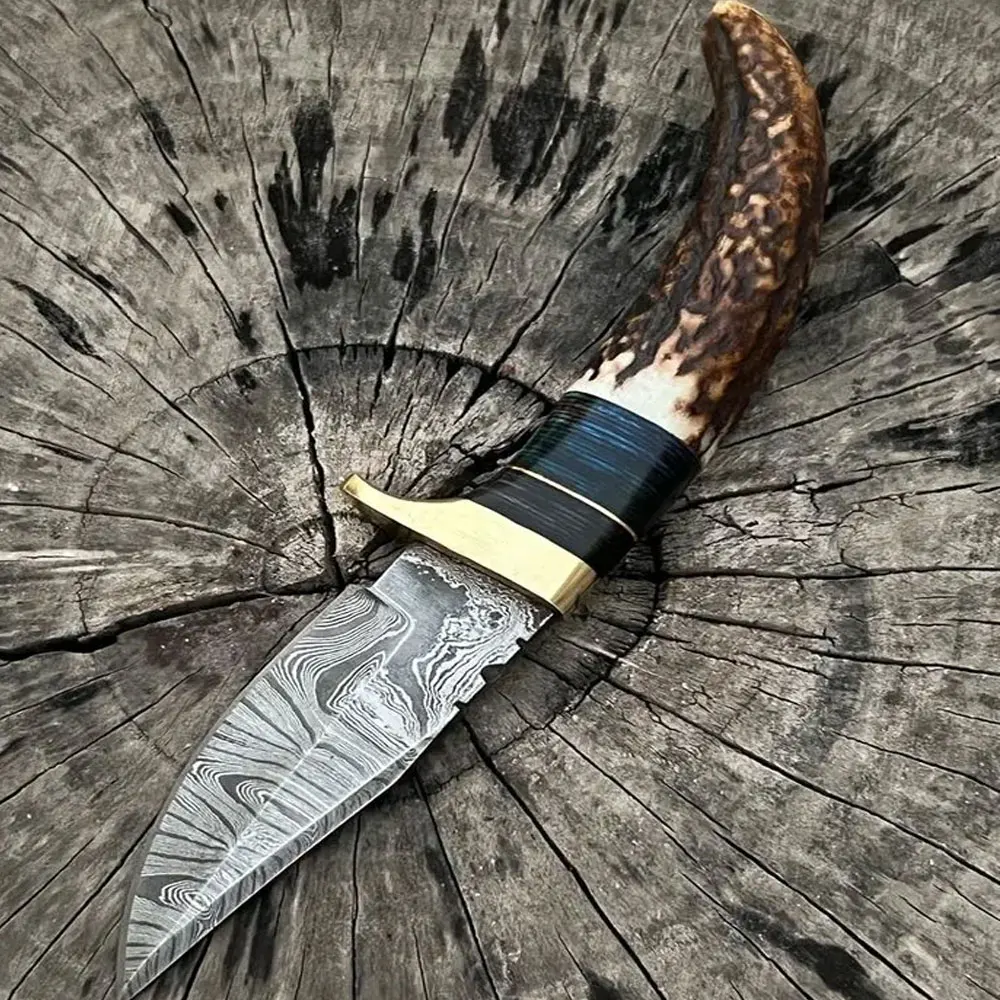 New Custom Handmade Damascus Steel Hunting Skinning Knife With Stag-Horn Handle for sale in bulk quantity