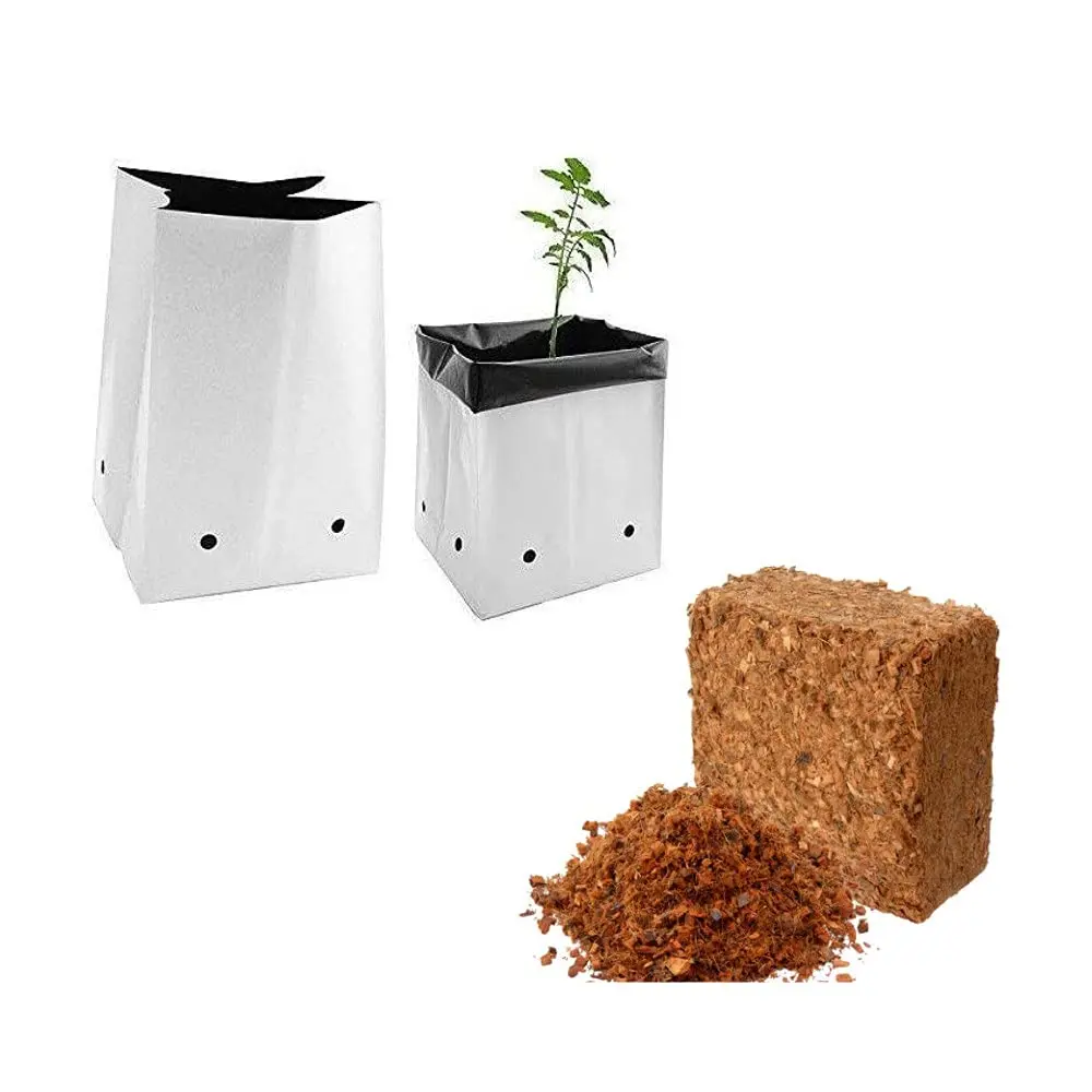 Urban Farming At Home With Cocopeat Grow Bags / Pertanian Bandar Di Rumah /Mestske zemedelstvi doma