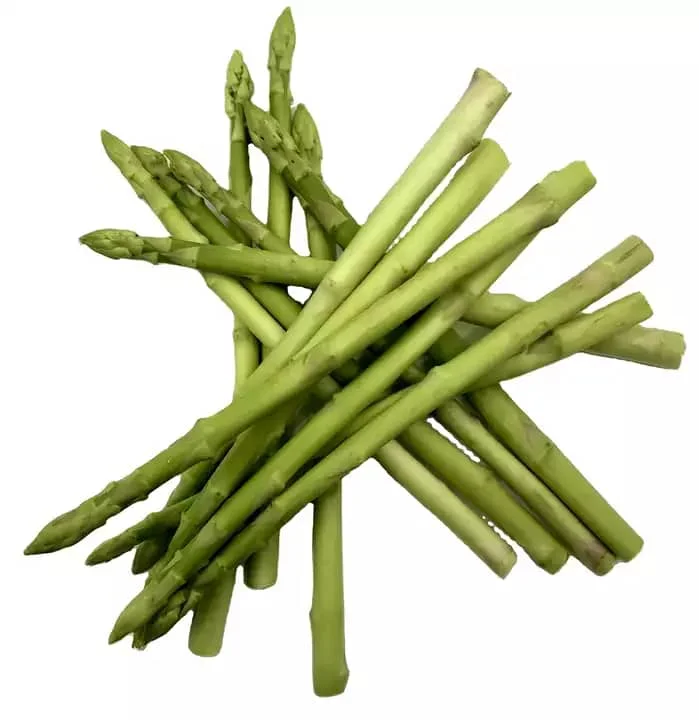 Fresh new crop frozen green asparagus spears Chinese frozen vegetables