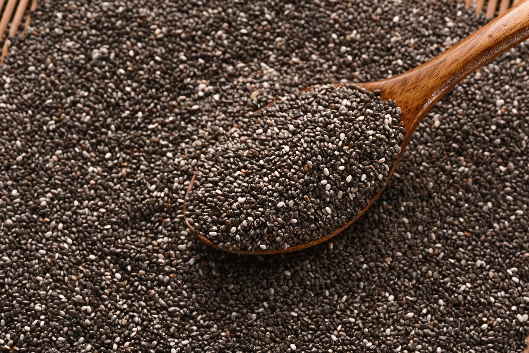 Натуральные сырые и чистые семена ЧИА лучшего качества, оригинальная фабрика, оптовая продажа из Индии (Элитные травы)