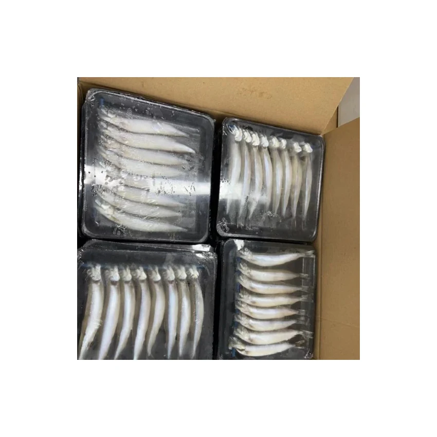 Frozen Capelin Fish wholesale Price