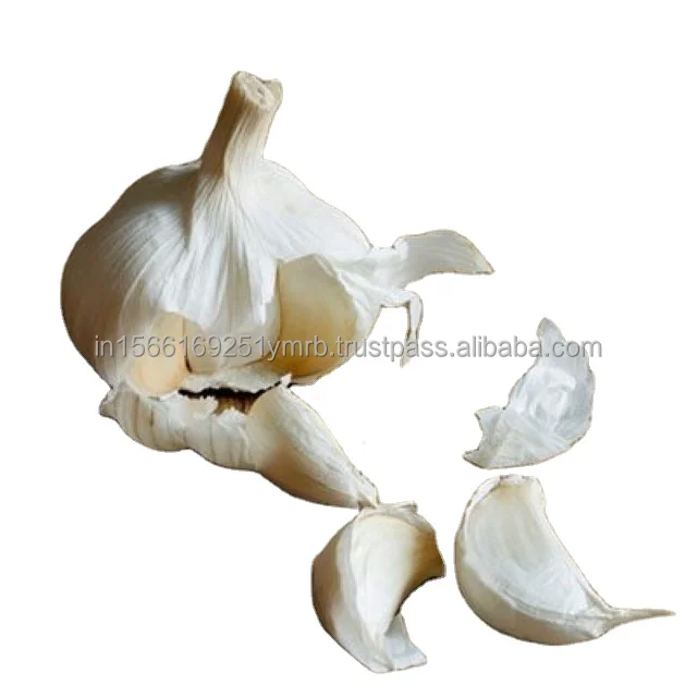 Garlic Healthy Raw Materials Organic Fresh Garlic