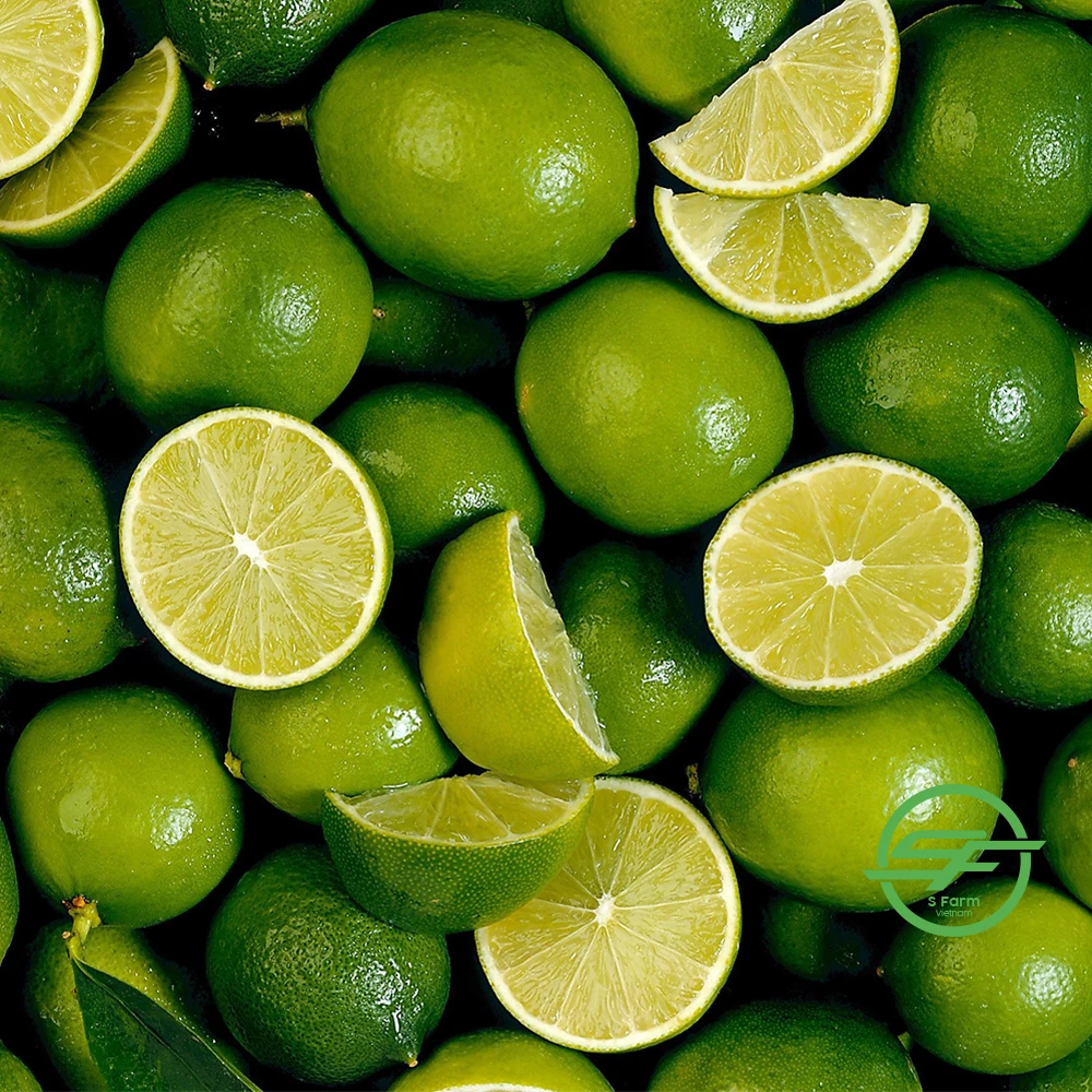 Lemon Seedless, Top Quality Product From Vietnam, Fresh Lemon seedless Fresh Lime
