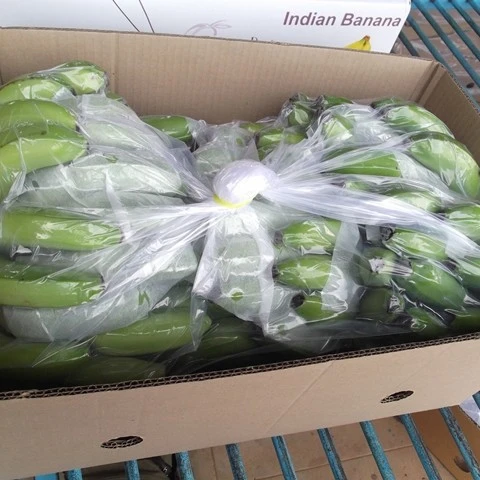 Buy Good Quality/100% Fresh Raw plantain Banana At  Cheap Price