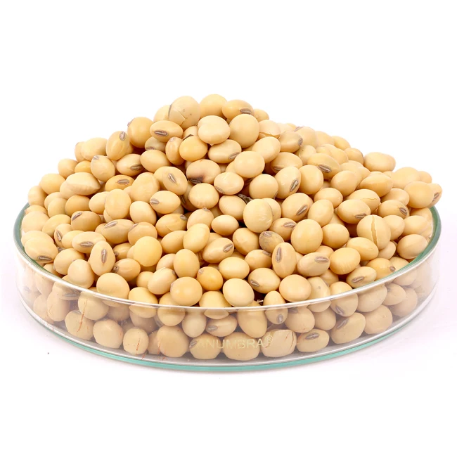 Wholesale Best Quality 50kg Bag Sprouting and Food Grade Dry Yellow Soybean Seed Non Gmo Soybeans
