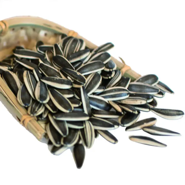 2023 Wholesale Large Sunflower Seeds Black White 361 Raw Sunflower Seeds
