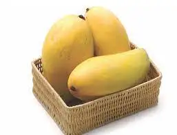 high quality export mango sand mango sand hoa Loc mango sand chu ...