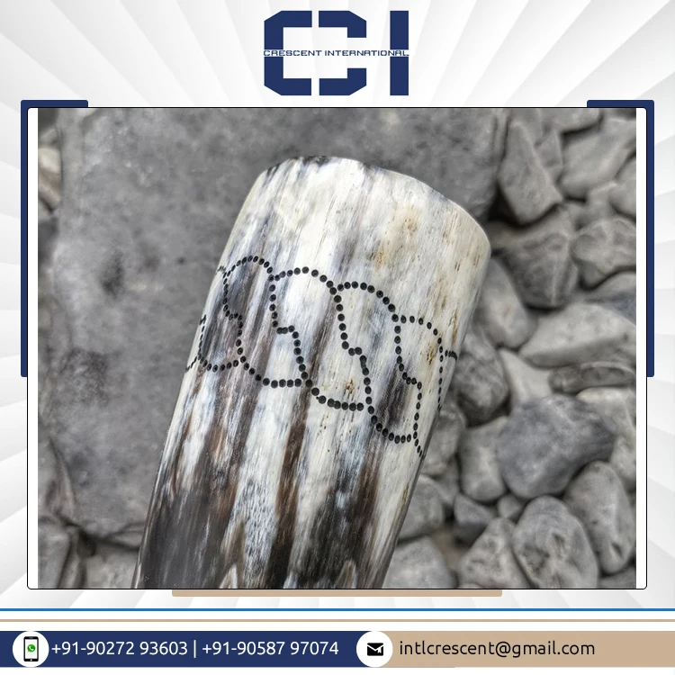 Supreme Quality Wholesale Manufacturer Supply Handcrafted Drinking Horn 100% Natural Viking Drinking Horn Beer Drinking Horn