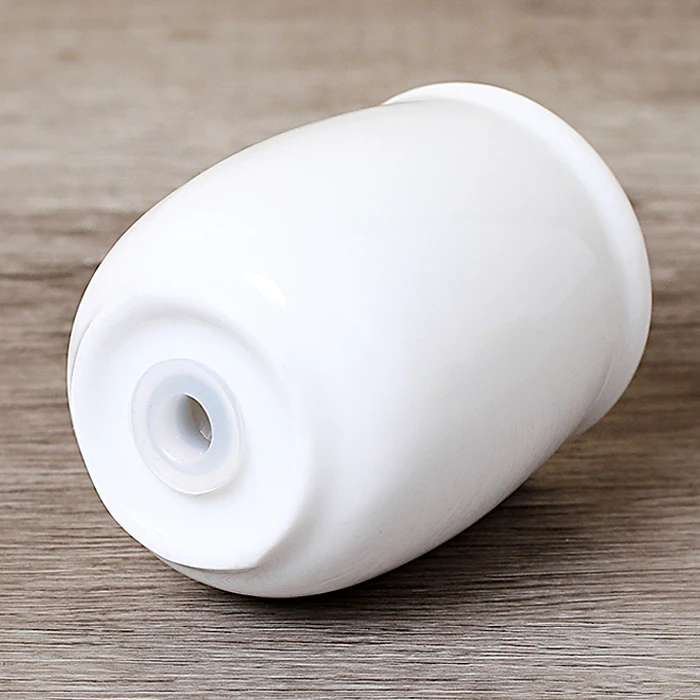 Home Kitchen Ceramic Salt and Pepper Shakers