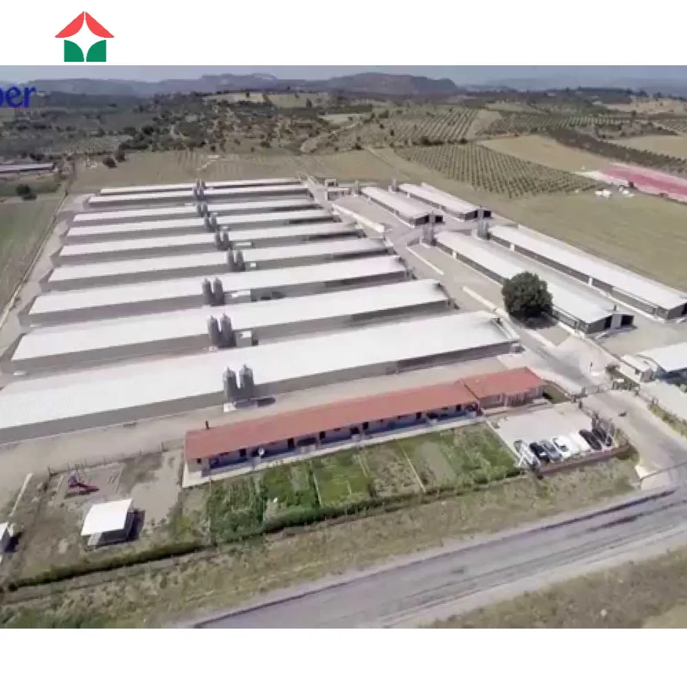 chicken farm equipment chicken house