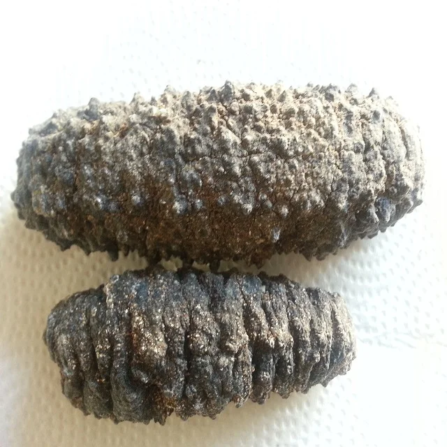 Wholesale high protein low calorie DRIED SEA CUCUMBER or IQF sea cucumber
