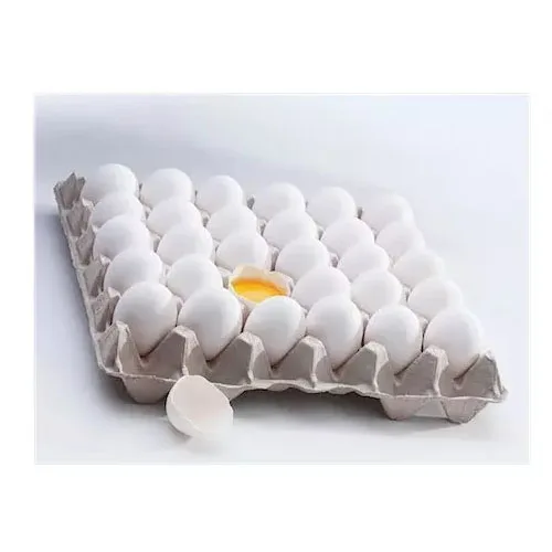 Лучшее качество, оптовая продажа оплодотворенных куриных яиц, 500 бройлеров, куриных яиц, свежих 700, плодородных яиц