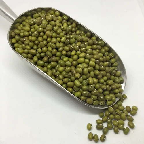 Mung Beans 1.jpg