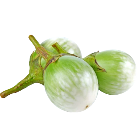 Fresh Round Egg plant From Thailand Fresh Vegetable Ready to export Premium quality Fresh Round Egg plant