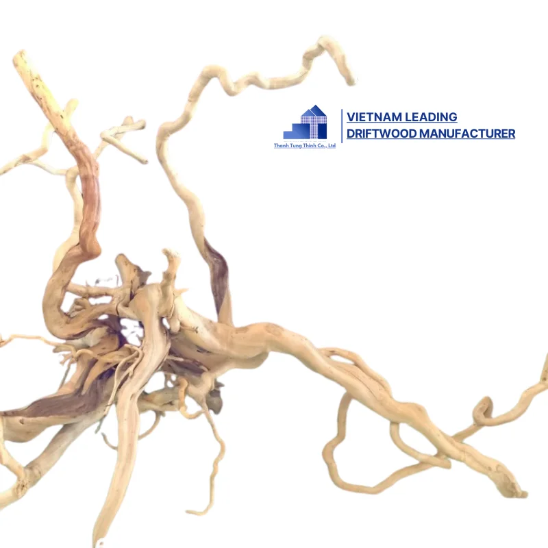 Hot Selling 2024 Natural Decor Roots Driftwood for Aquarium and Accessories with best price WhatsApp: +84 963 949 178