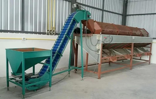 Cashew nut processing machine/raw cashew size grading with cheap price from VietNam In 2023