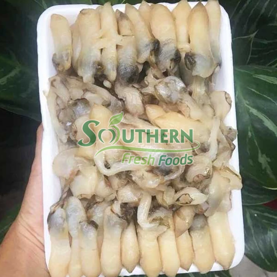 Storage high IQF process quality Origin weight sea food frozen Frozen Cooked Razor Clam Meat Farm Raised SFF from Vietnam