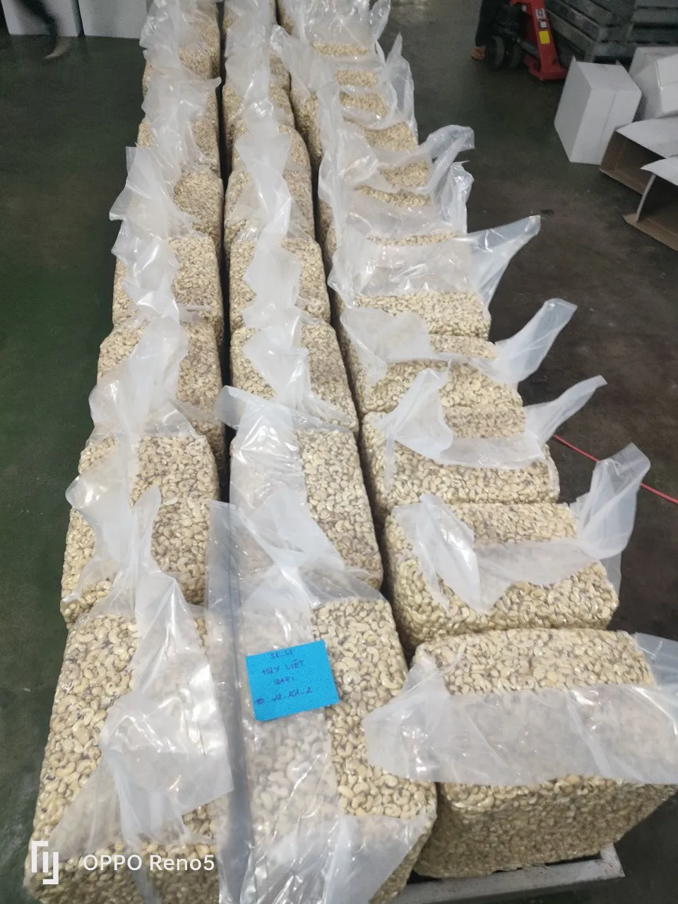 Cashew Nuts WW320 Special Product With Origin Vietnam Best Price For Sale High Quality Prestigious Manufacture