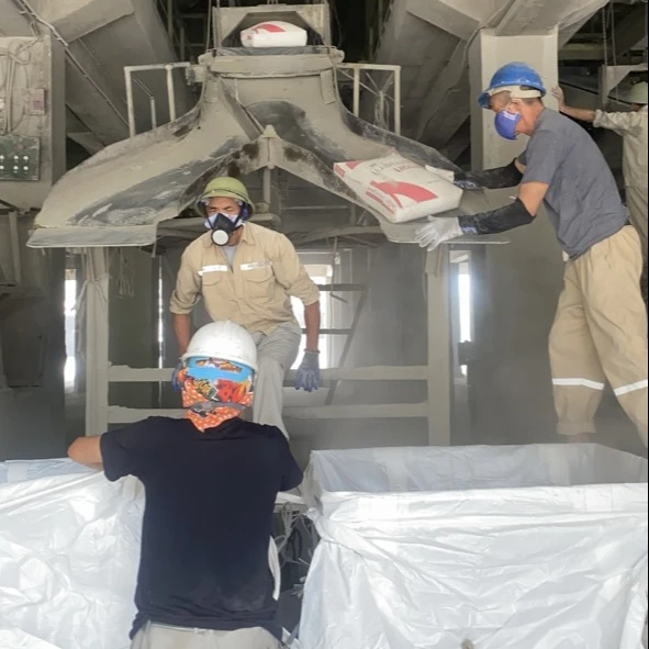 Portland cement CEM II 42.5N EN standard