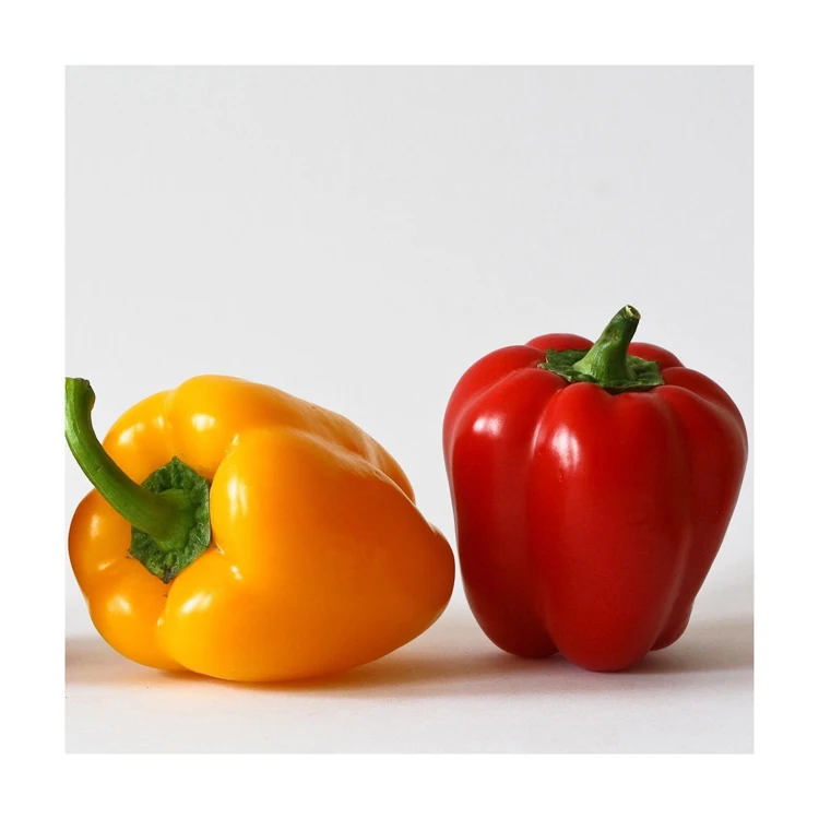 Export price frozen red bell pepper vegetable
