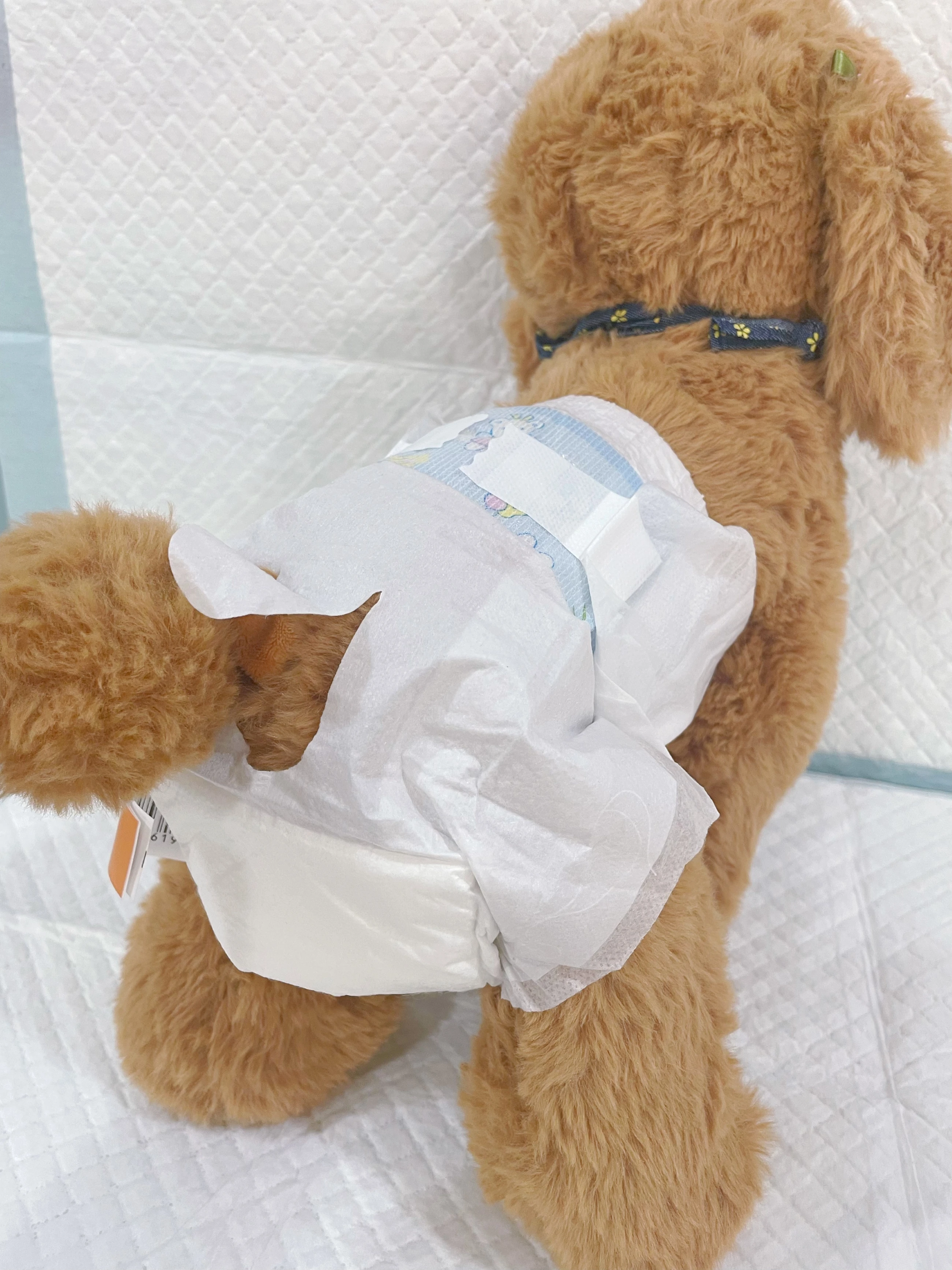 Palmpets pet diaper Size XS for female pet size XS-XXL Disposable diaper for male pet