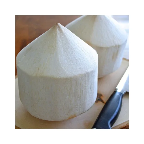 High Quality from Thailand Fresh Young Coconut Premium Diamond Tropical Shell Style Color Weight Brown Origin Type Shape Variety