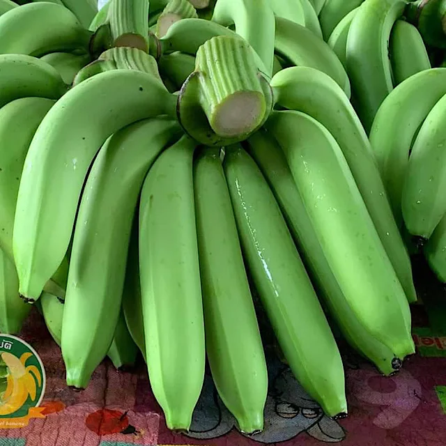 Hot Sale Best Quality Hom thong Banana  From Thailand