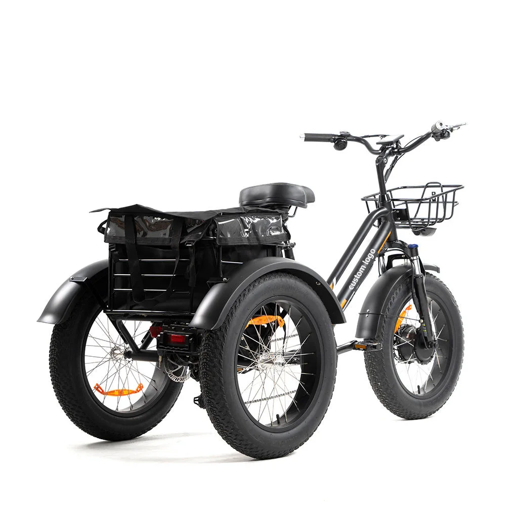 48v 500w Three Electric Cargo Bike 3 Wheel 20 Inch Fat Tire Tyre Cargo Trike Electric Tricycle Bike Bicycle